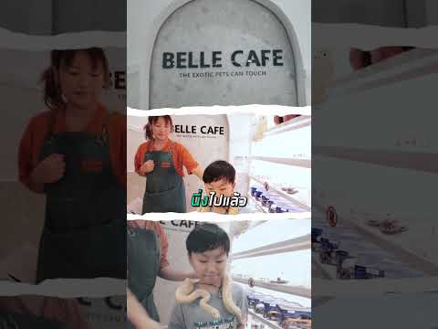 คาเฟ่สัตว์แปลก BELLE CAFE  #พากิน #รีวิว #travel #คาเฟ่ #ท่องเที่ยว #พาเที่ยว