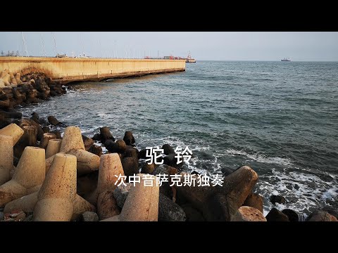 《驼铃》戴手铐的旅客怀旧金曲萨克斯独奏Saxophone Cover