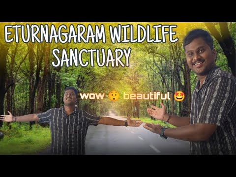 |Etunagaram widlife Sacuntuary| #eturunagaram #medaram #forest #tadvai #sanctuary #wildlife