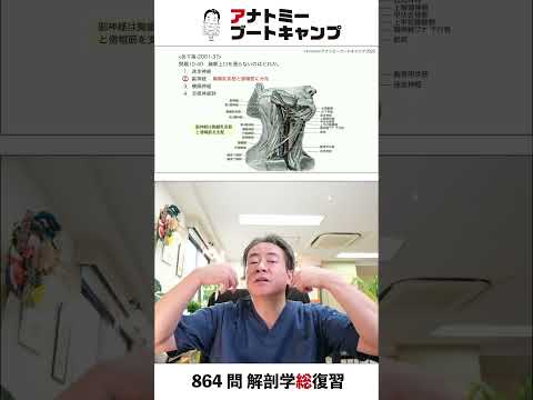 【 #国試1分道場 ・運動器系】胸郭上口を通らないのはどれか。　１．迷走神経　２．副神経　３．横隔神経　４．交感神経幹 #かずひろ先生 #解剖学