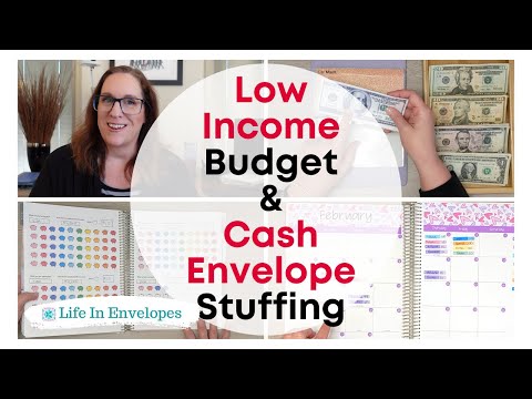 Low Income Budget / Family Update / Cash Envelope Stuffing / Sinking Funds