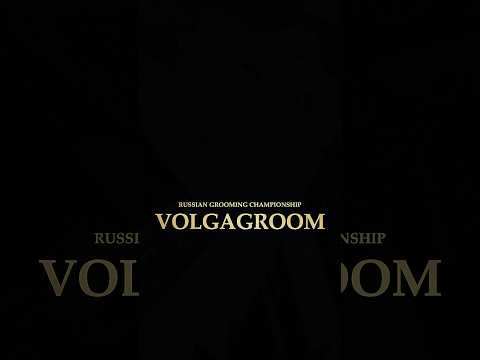 Регистрация на чемпионат #volgagroom открыта! Подробнее в комментариях 👇