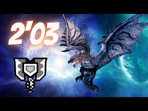 MHW Iceborne Silver Rathalos 2'03 CB Heroic