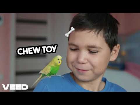 Happy Parrot Plays with Natural Chew