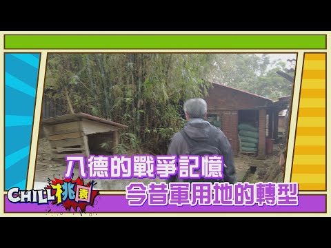 【CHILL桃園精選】八德的戰爭記憶 今昔軍用地的轉型｜桃園市野鳥學會榮譽理事長 吳豫州