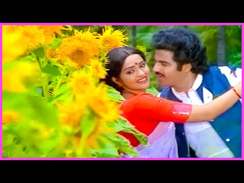 Balakrishna, Rajini Evergreen Superhit Song - Seetharama Kalyanam Movie Video Songs | Telugu Songs