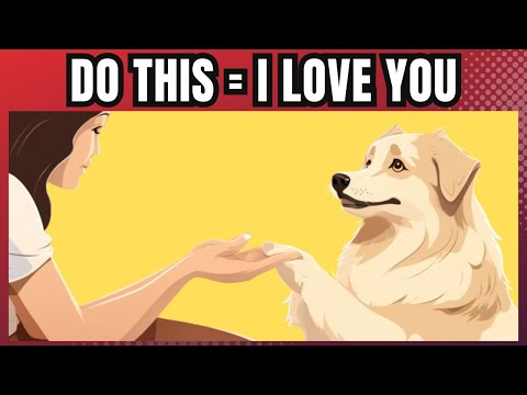 15 Ways to Tell Your Dog I Love You (So They Can Understand)