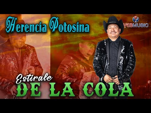 Herencia Potosina | Estríale De La Cola | Video Musical