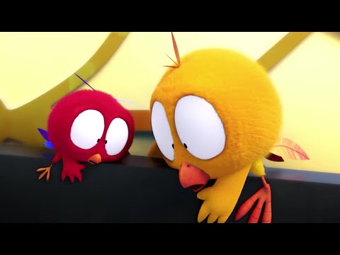 The giant clock | Where's Chicky? | Cartoon Collection in English for Kids | New episodes