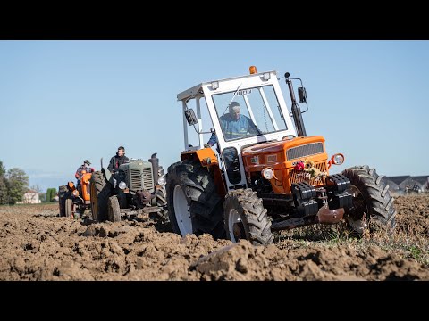 Plowing festival with more than 40 tractors in the same field🤯