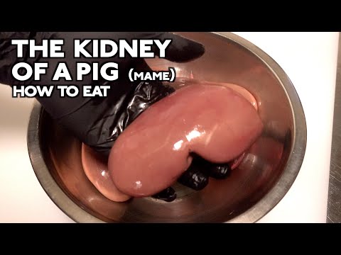 Mame! The kidney of a pig!