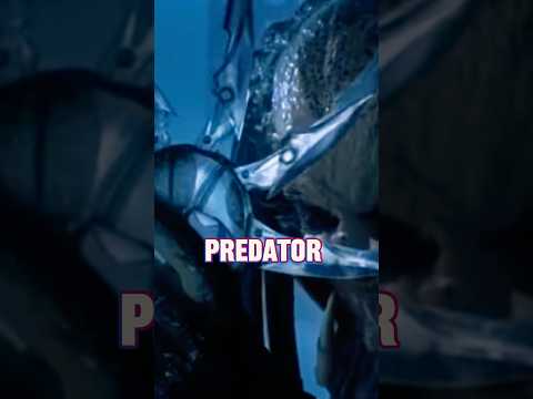 Predator vs alien // after dark #xenomorfo #predators #edit #edits #predator #xenomorphs  #shorts