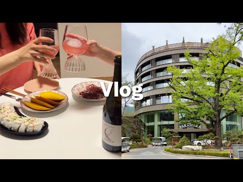 Sub) Living in Seoul VLOG | Seoul Arts Center | Pyeongyang Naengmyeon | Paraspara Seoul | Dimdimsum