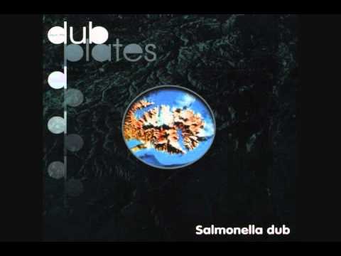 Salmonella Dub - Push On Through (HQ)