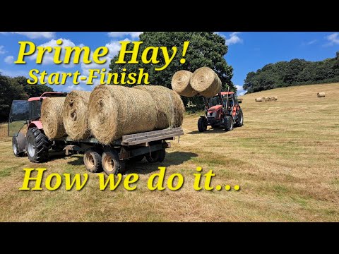 Zetors make Prime Hay start to finish! How we do it!.