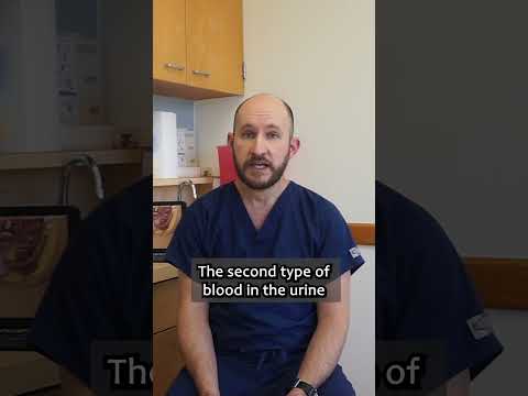 What Does Blood in My Urine Mean? #urology #urologist #bloodinurine #hematuria #prostatecancer