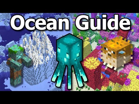 The Ultimate Minecraft 1.20 Ocean Guide | Coral, Icebergs, Water Caves