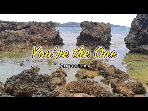 YOU'RE THE ONE - (Karaoke Version) - in the style of Carpenters