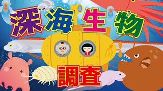 【ようかい博士】深海生物調査☆座敷童と一緒に深海に住む海の生き物を調査するよ！【知育】ダイオウイカ・ダイオウグソクムシ・メンダコ・リュウグウノツカイ・チョウチンアンコウなど　教育アニメ