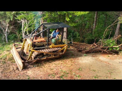 Salvaged Td9 Bulldozer Winching dead trees from the Forest for Firewood.