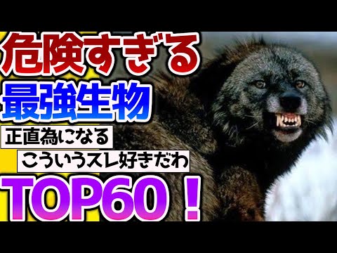 【2ch動物スレ】危険で最強な生物TOP60！(イッチの主観が入ってます！） #生き物 #2ch