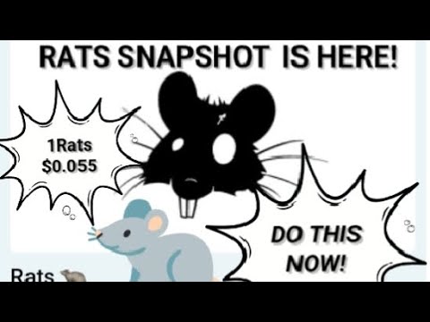 RATS SNAPSHOT IS HERE || HOW TO SECURE YOUR RATS AIRDROP BEFORE LISTING