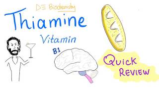 Vitamin B1 - Thiamine - Quick Review - Sources, Functions, Deficiency, Treatment