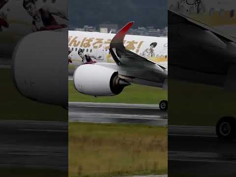 JAL A350-900 JA06XJ with nostalgic Olympic special livery takes off from Itami Airport in the rain