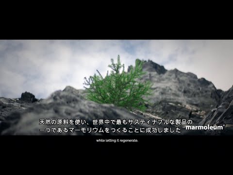 【自然の恵み編】人と地球にやさしい床材マーモリウム