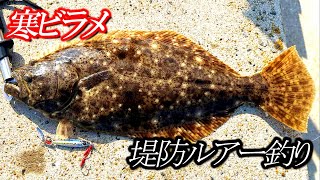 ルアーで堤防からヒラメ釣り【寒ビラメ】