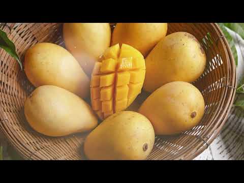 Mango - The King Of Fruits