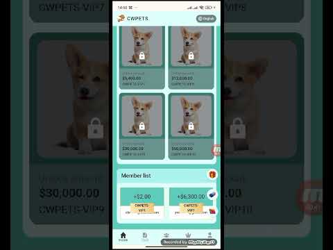 Earn 50USDT every day | New CWPETS money-making