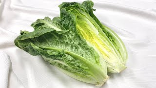 ロメインレタス〈野菜の食べ方＆調理方法〉by食育マルシェおうち便