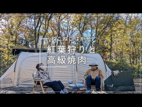 【夫婦キャンプ】#24 紅葉狩りと高級焼肉【カマボコテント3M】