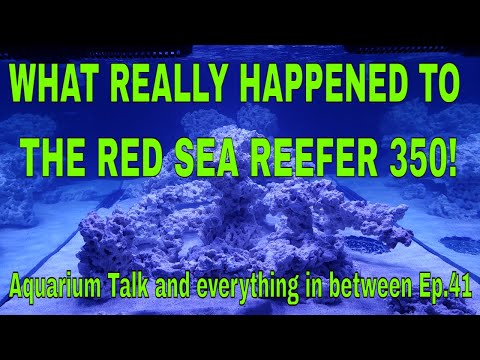 Red Sea Reefer 350