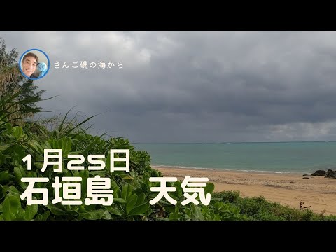 【石垣島天気】1月25日12時ごろ。15秒でわかる今日の石垣島の様子。