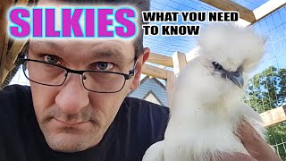 Silky Chicken - What You Need To Know - 101