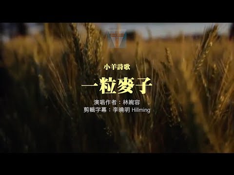 華語詩歌【一粒麥子】