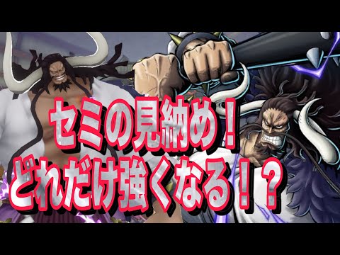 蝉カイドウの見納め！次会うときは次元が違うw【バウンティラッシュ】