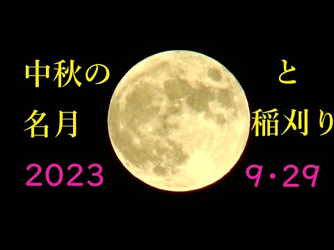 中秋の名月と稲刈りとマック・・　２０２３　No,1093