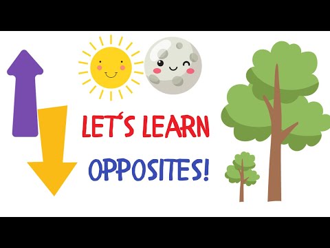 OPPOSITE WORDS - Learning Opposites (Toddler Fun)