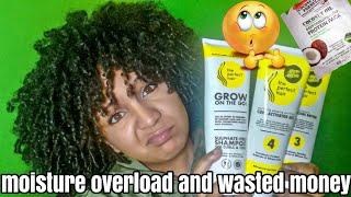 THE PERFECT HAIR DEMO + REVIEW || MOISTURE OVERLOAD