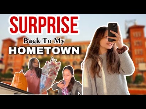 SURPRISE 😍 | Back To My Hometown Bhagalpur | Kolkata To Bhagalpur | #vlog | Mansi Gupta | MG454