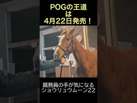 【POGの王道】手が気になるショウリュウムーン22 #POG #POGの王道