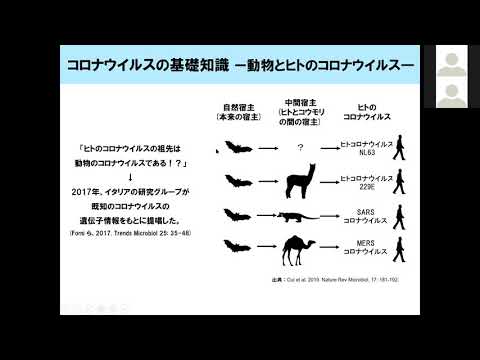 動物とヒトのコロナウイルス【模擬講義：北里大学獣医学部 獣医学科】