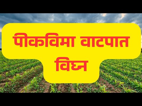 पीक विमा वाटपात मोठ विघ्न || Pikvima