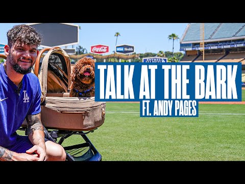 Talk at the Bark with Andy Pages | Presented by TAVO