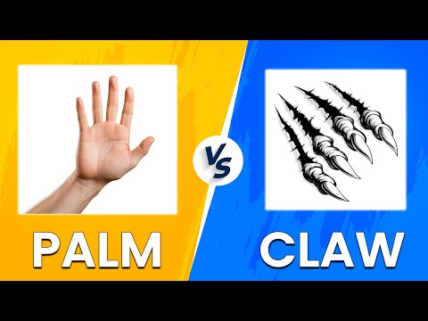 Palm vs Claw - Which Mouse Grip Styles Should You Use? (Watch This For More Understanding!)