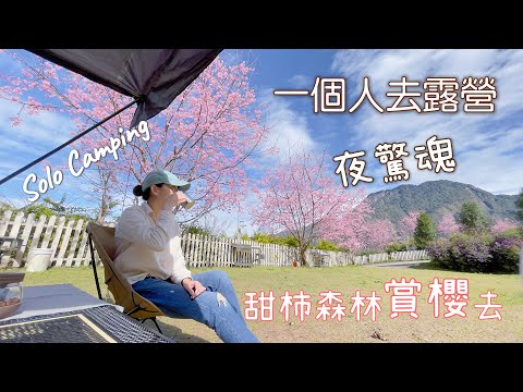 【Solo Camping】女子單人露營｜以為風和日麗賞櫻，結果夜驚魂｜滿滿粉紅櫻花，賞櫻推薦｜甜柿森林露營區