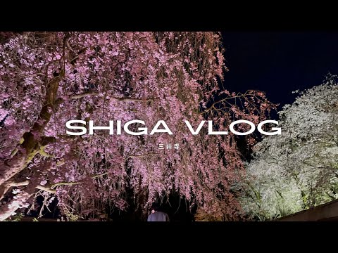 【Vlog】三井寺🌸桜ライトアップ｜滋賀県大津市｜夜桜